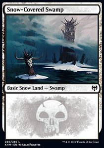 Snow-Covered Swamp