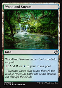 Woodland Stream