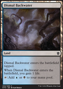 Dismal Backwater