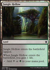 Jungle Hollow