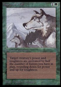 Aspect of Wolf