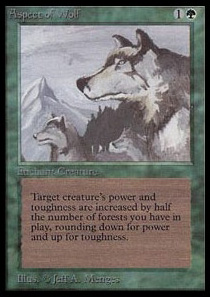 Aspect of Wolf