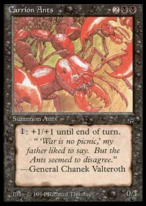 Carrion Ants