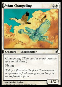 Avian Changeling