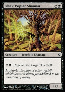 Black Poplar Shaman