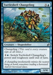 Turtleshell Changeling