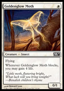 Goldenglow Moth