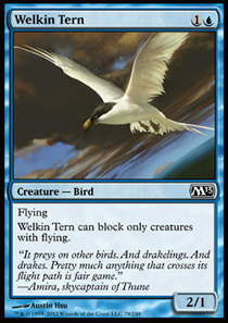 Welkin Tern