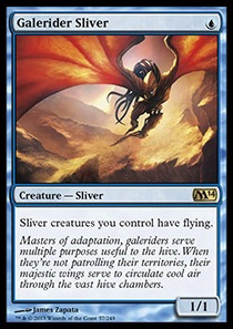 Galerider Sliver