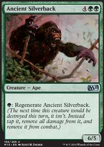 Ancient Silverback