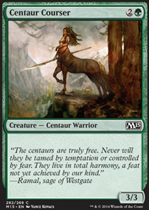 Centaur Courser