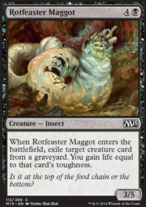 Rotfeaster Maggot