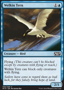 Welkin Tern