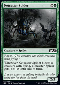 Netcaster Spider