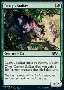 Canopy Stalker