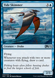 Tide Skimmer