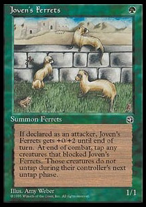 Joven's Ferrets