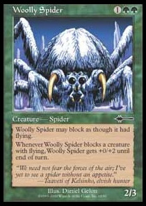 Woolly Spider