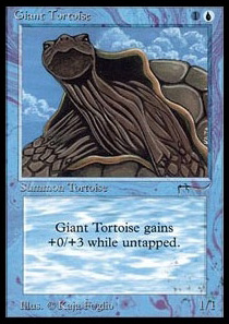 Giant Tortoise