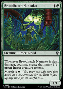 Broodhatch Nantuko