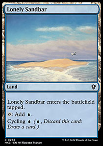 Lonely Sandbar