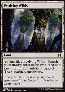 Evolving Wilds