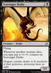 Scavenger Drake