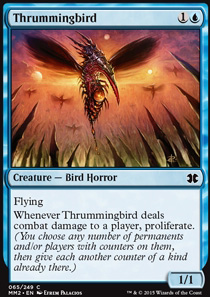 Thrummingbird