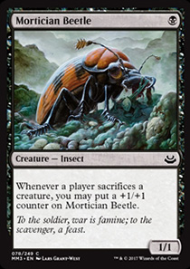 Mortician Beetle