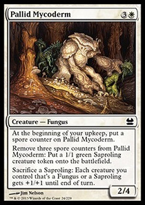 Pallid Mycoderm