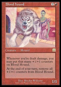 Blood Hound