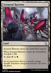 Scoured Barrens