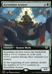 Ascendant Acolyte