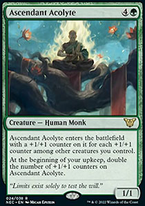 Ascendant Acolyte