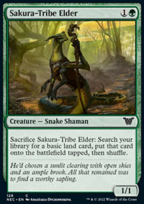 Sakura-Tribe Elder