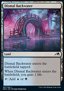 Dismal Backwater