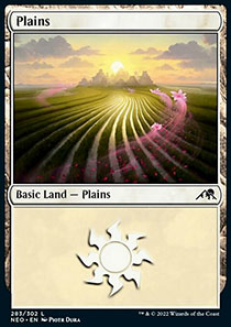 Plains