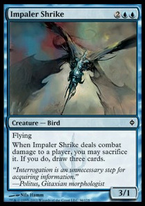 Impaler Shrike