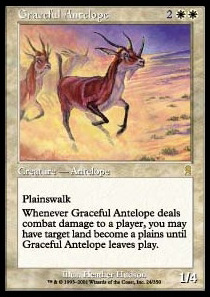 Graceful Antelope