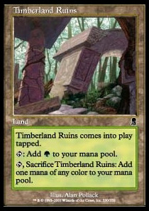 Timberland Ruins