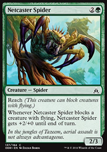 Netcaster Spider