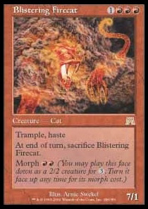 Blistering Firecat