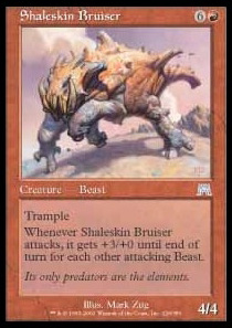 Shaleskin Bruiser