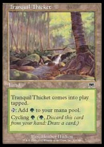 Tranquil Thicket