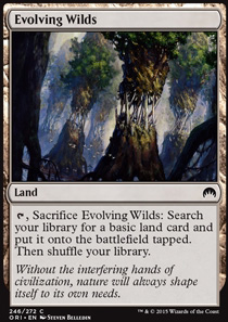 Evolving Wilds