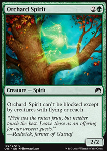 Orchard Spirit