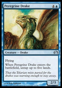 Peregrine Drake