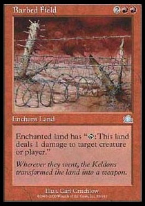 Barbed Field