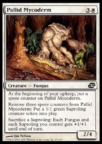 Pallid Mycoderm