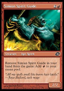 Simian Spirit Guide